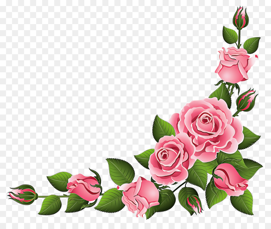 Rosa，Flor PNG