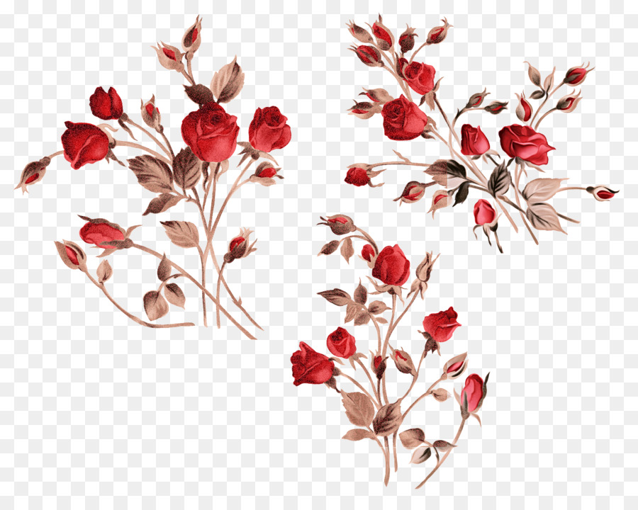 Rosas Rojas，Ramo PNG