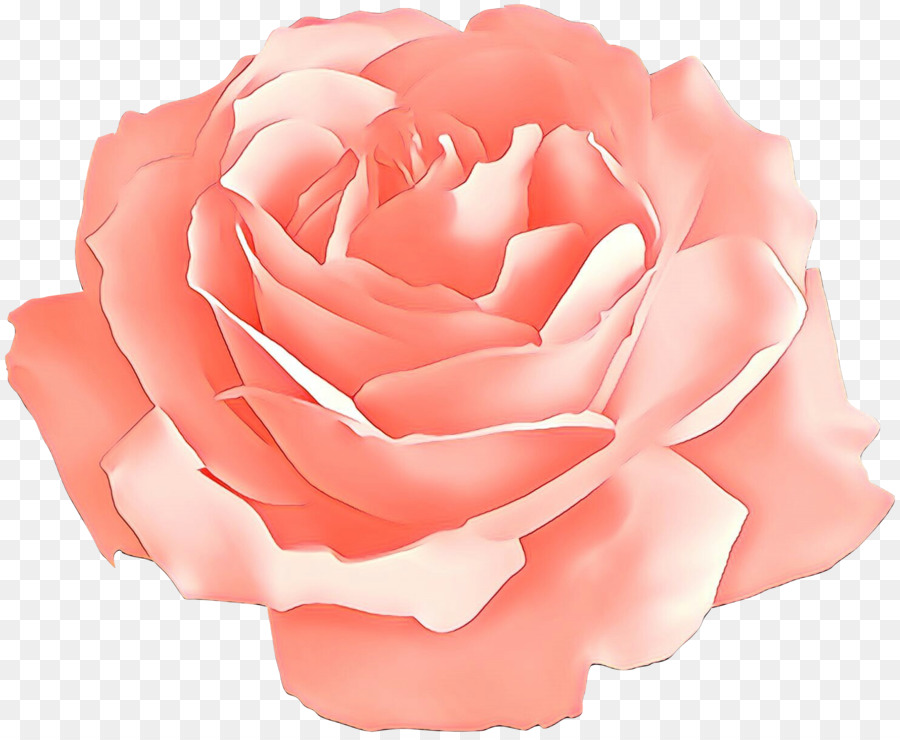 Rosas De Jardín，Rosa PNG