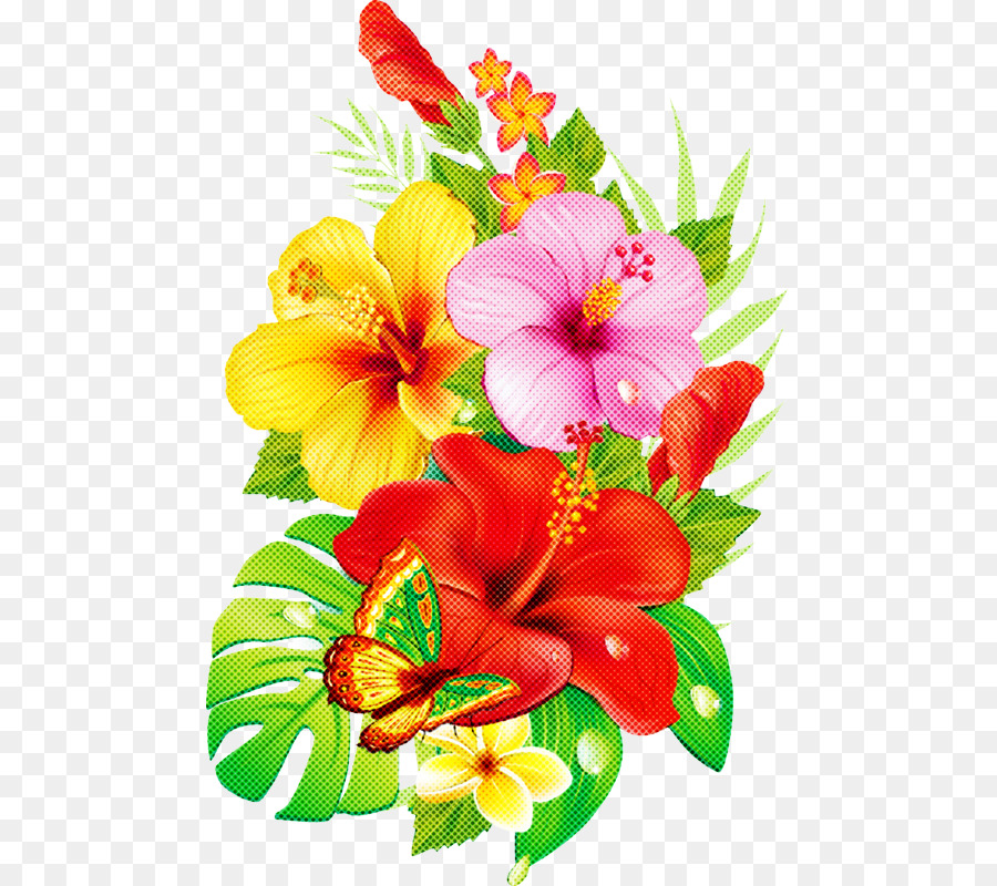 Flor，Hibiscus Hawaiian PNG