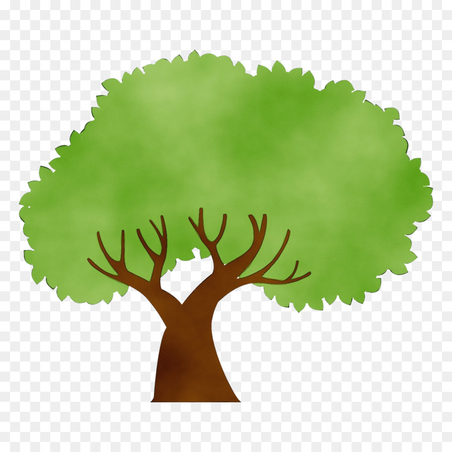 árbol Verde，Naturaleza PNG