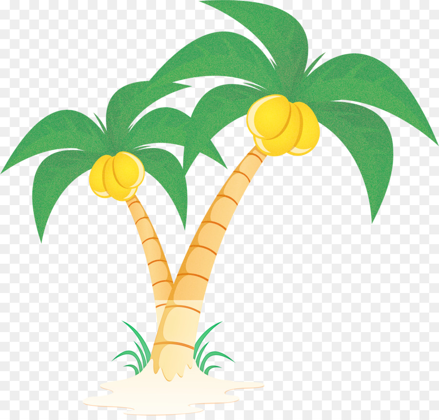 Palmera，árbol PNG