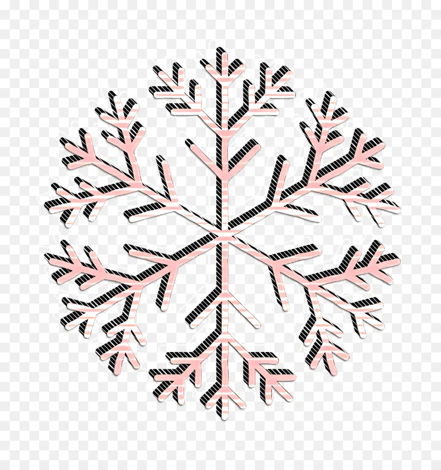 Copo De Nieve，Invierno PNG