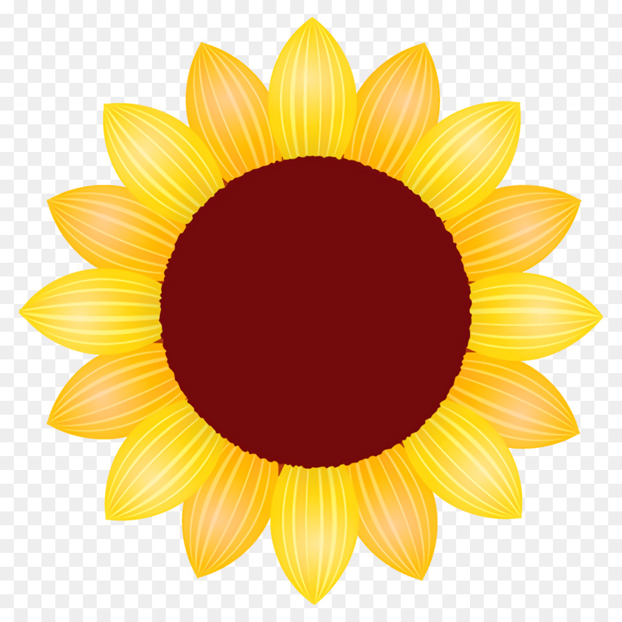 Girasol，Amarillo PNG