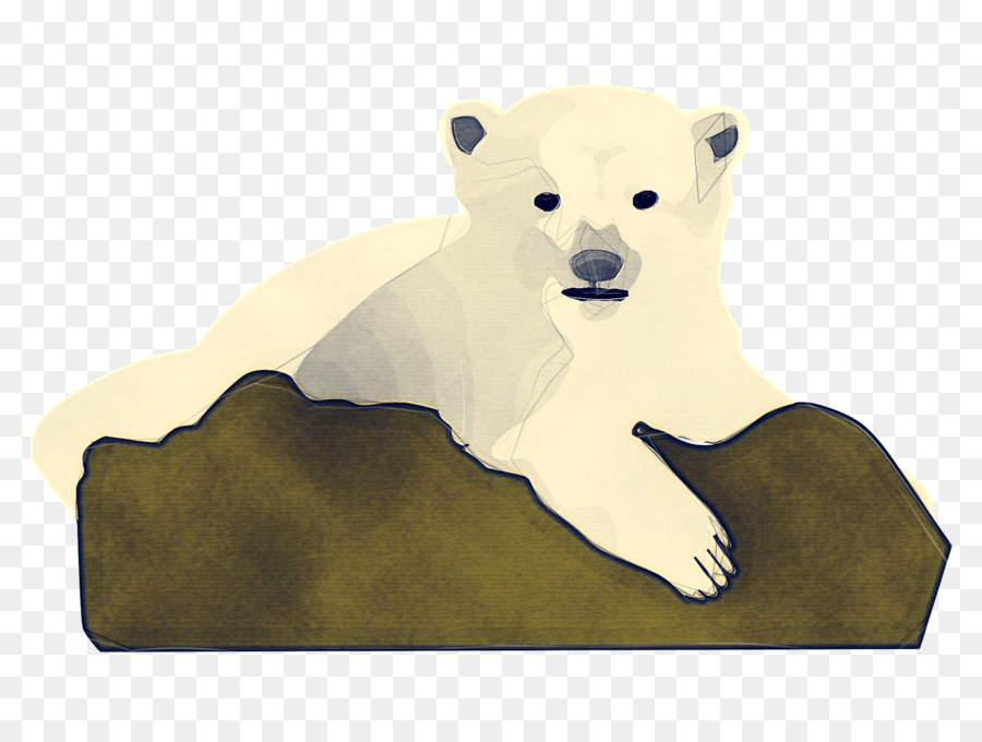 Oso Polar，Oso PNG