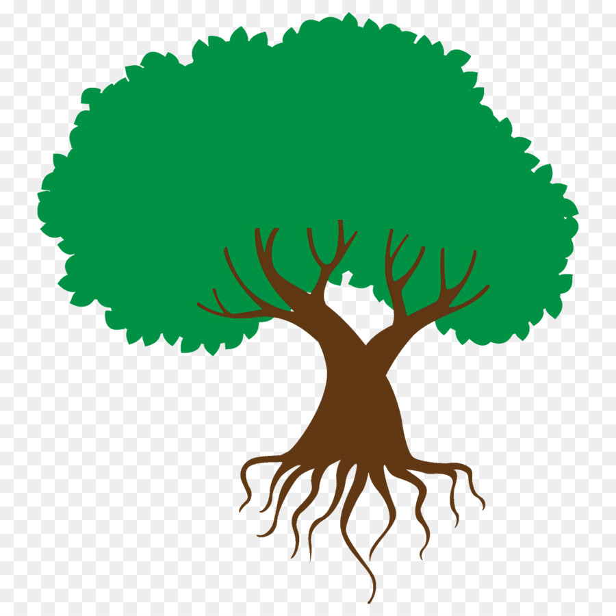 Verde，Árbol PNG