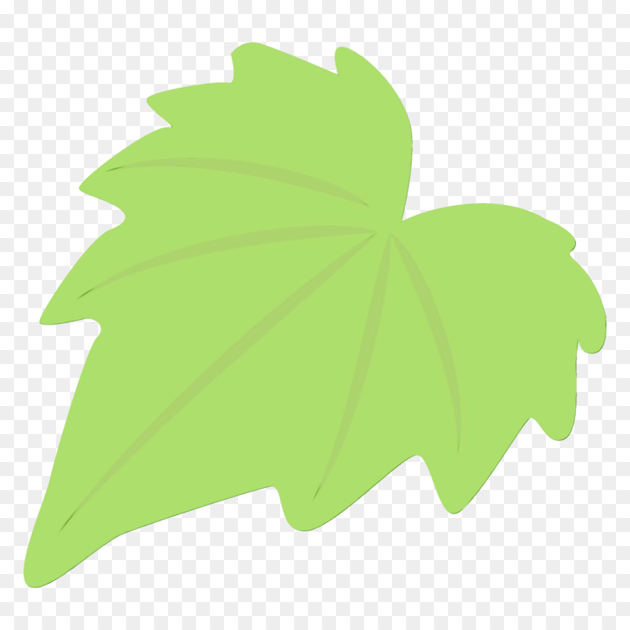 Hoja，Verde PNG