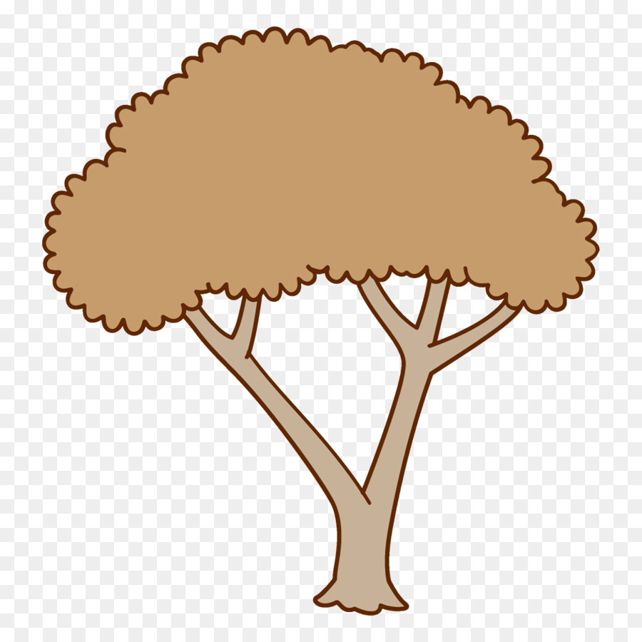 Árbol，Planta PNG