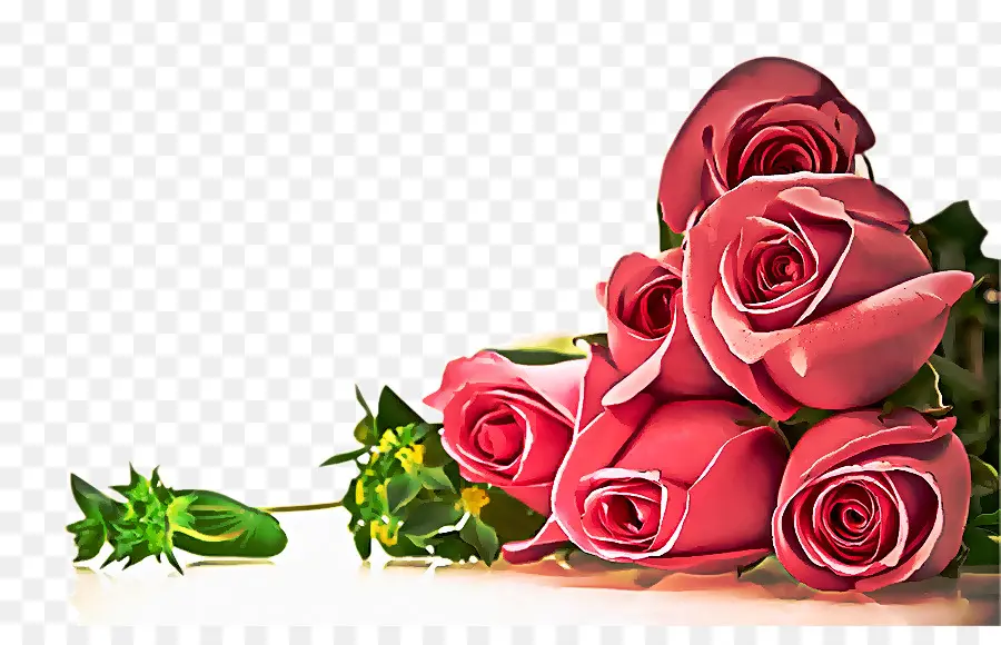 Rosas，Rosa PNG