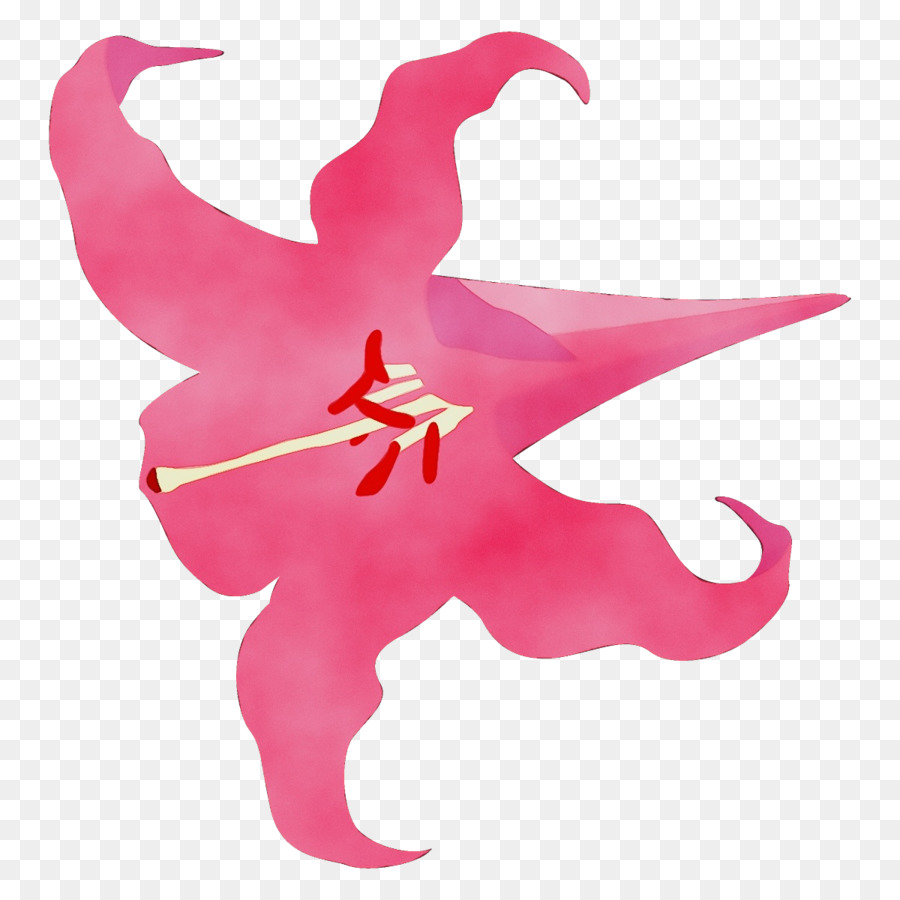 Rosa，Planta PNG