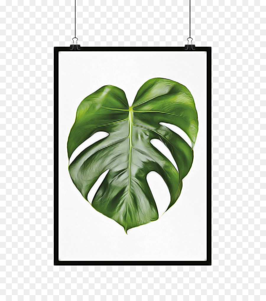 Hoja，Verde PNG