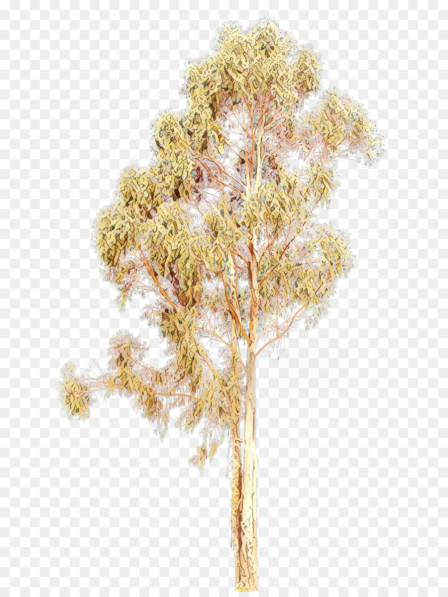 Planta，Árbol PNG