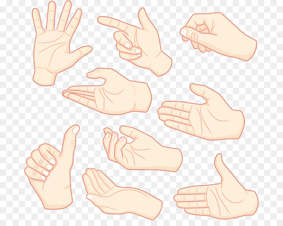 Dedo，De La Mano PNG