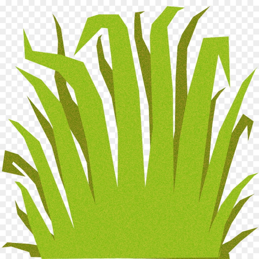 Verde，La Hierba PNG