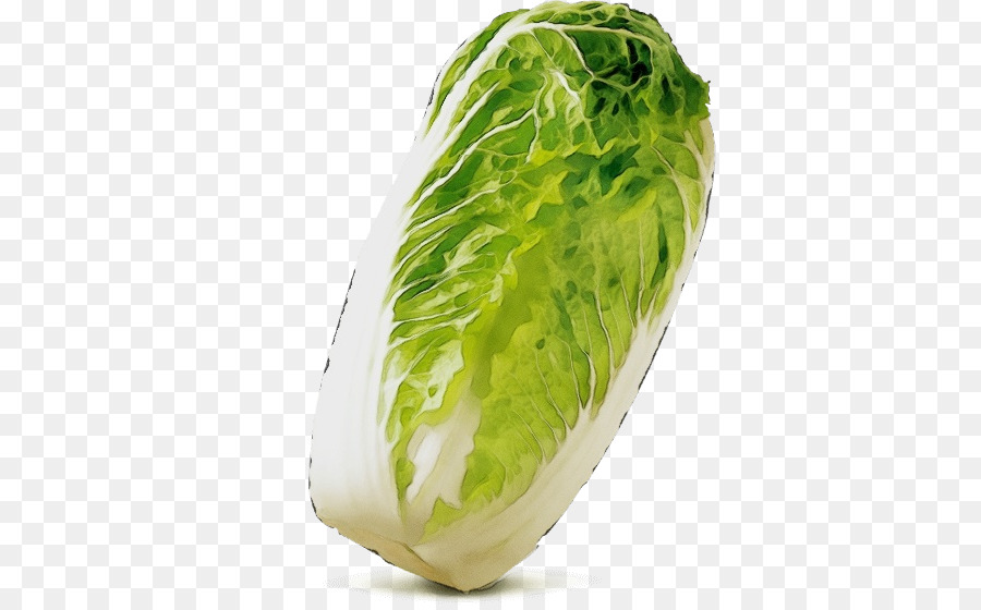 Vegetal，La Comida PNG