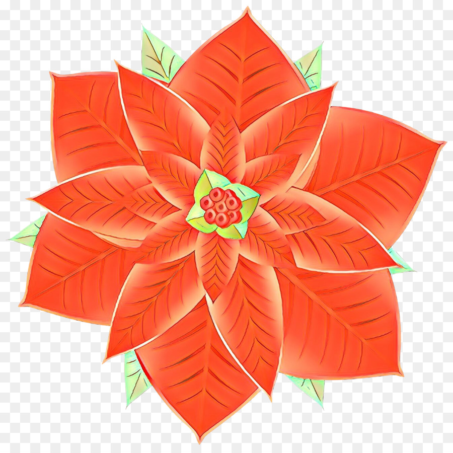 Flor De Pascua，Rojo PNG