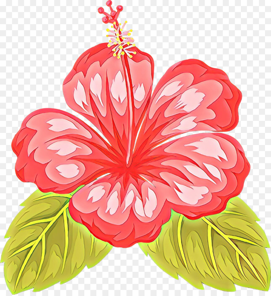 Hibisco，Hibiscus Hawaiian PNG
