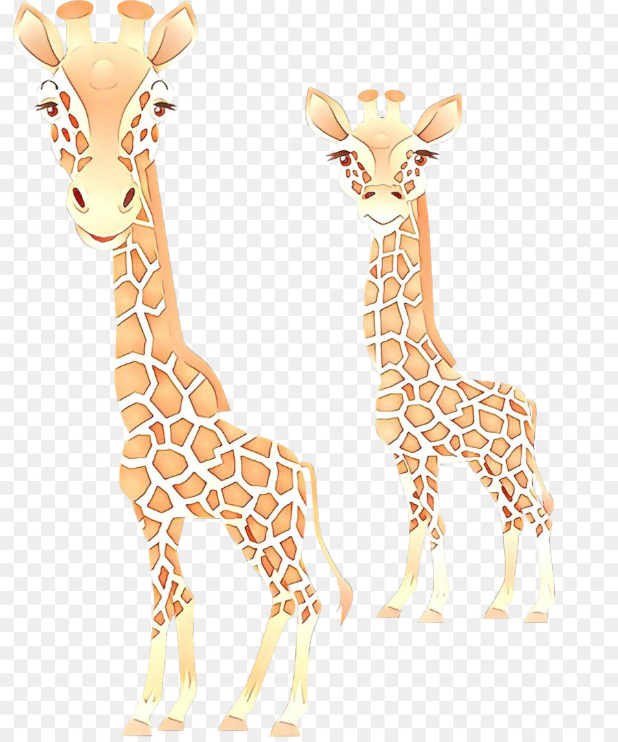 Giraffidae，Jirafa PNG