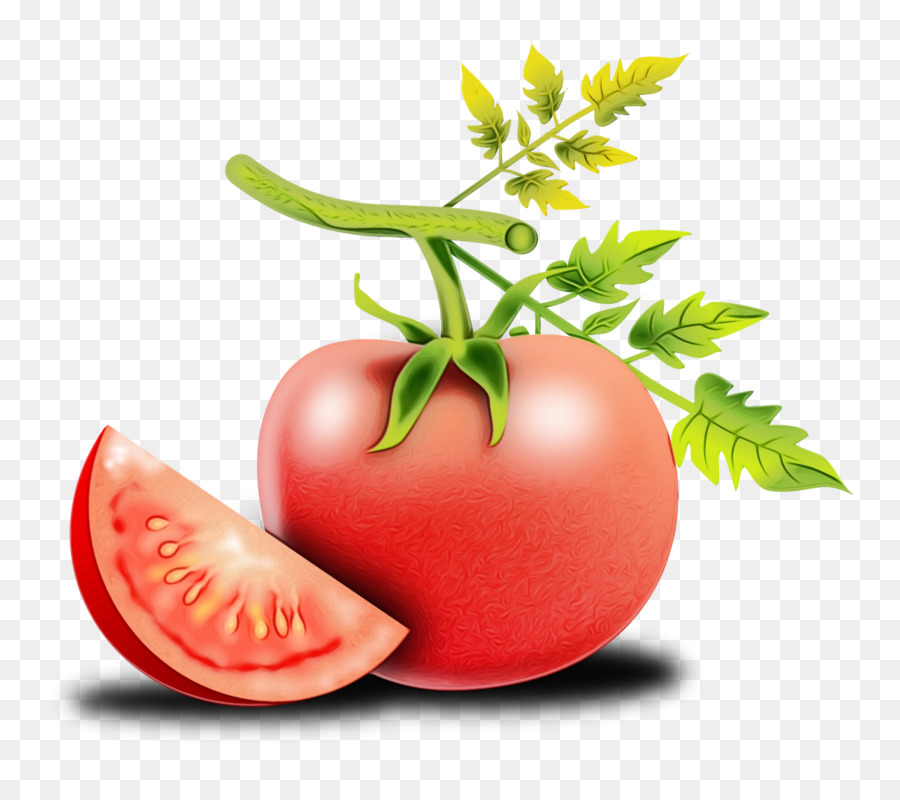 Alimentos Naturales，Solanum PNG