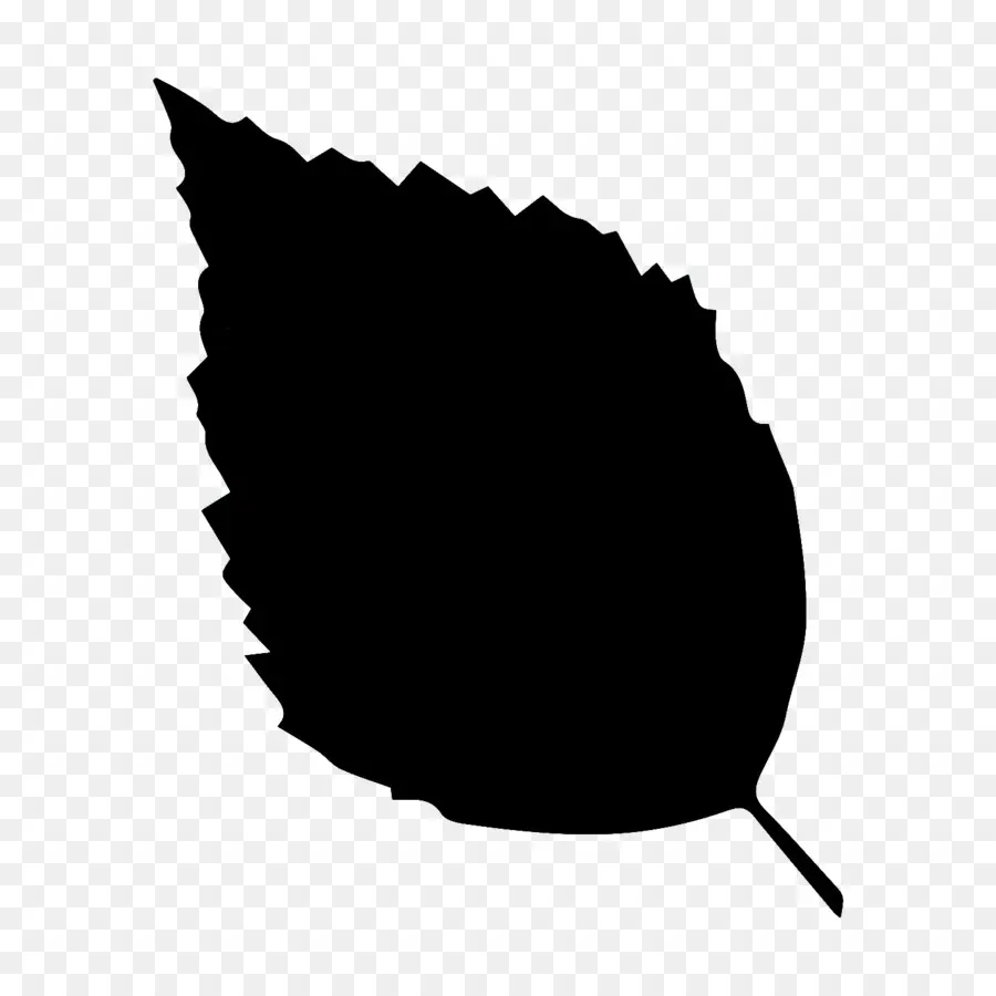 Negro，Hoja PNG