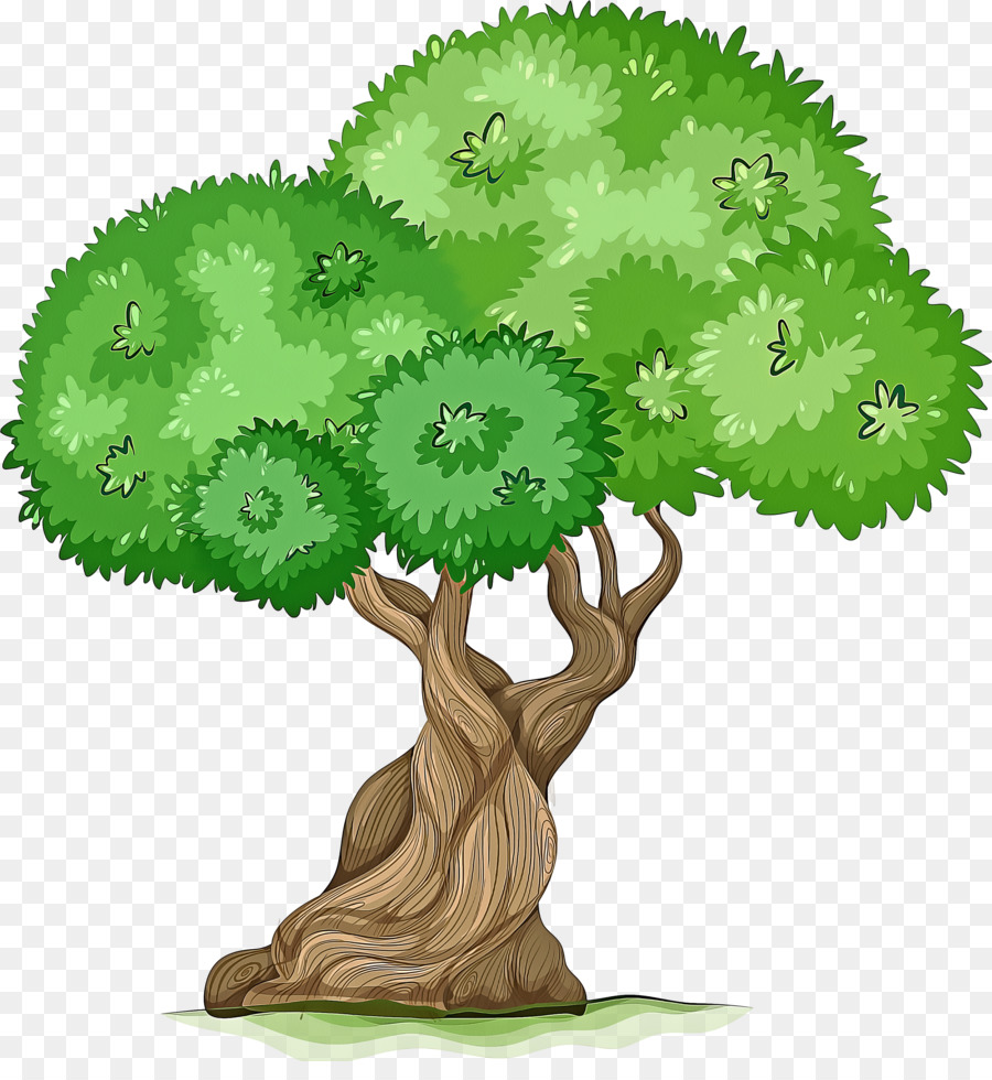 Árbol，Hojas PNG