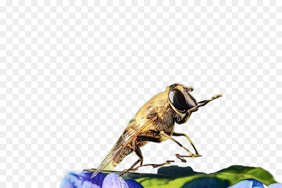 Los Insectos，De Plagas PNG