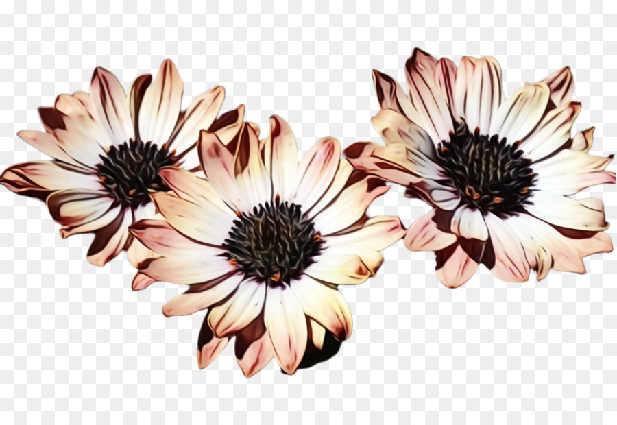 Flores，Florecer PNG