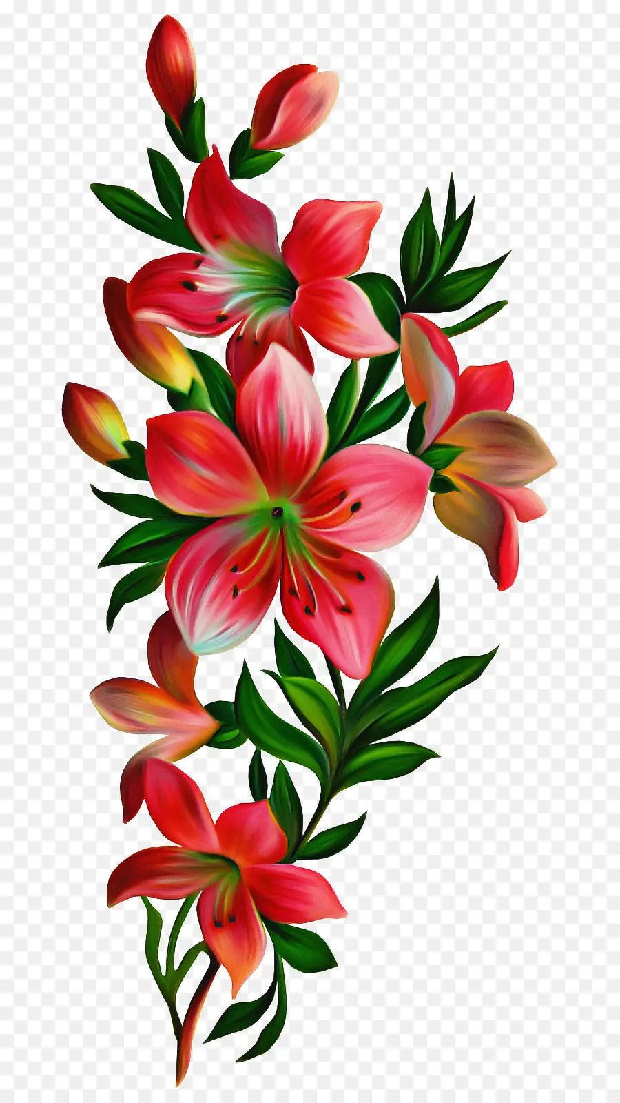 Flores Rojas，Pétalos PNG