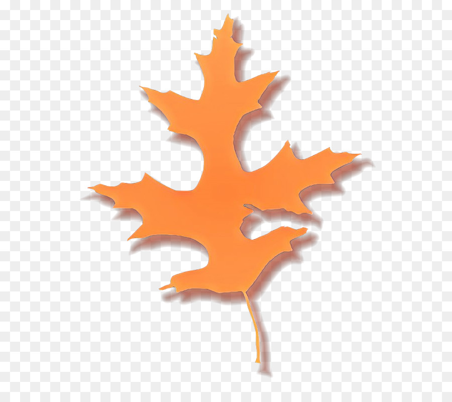 Hoja，árbol PNG