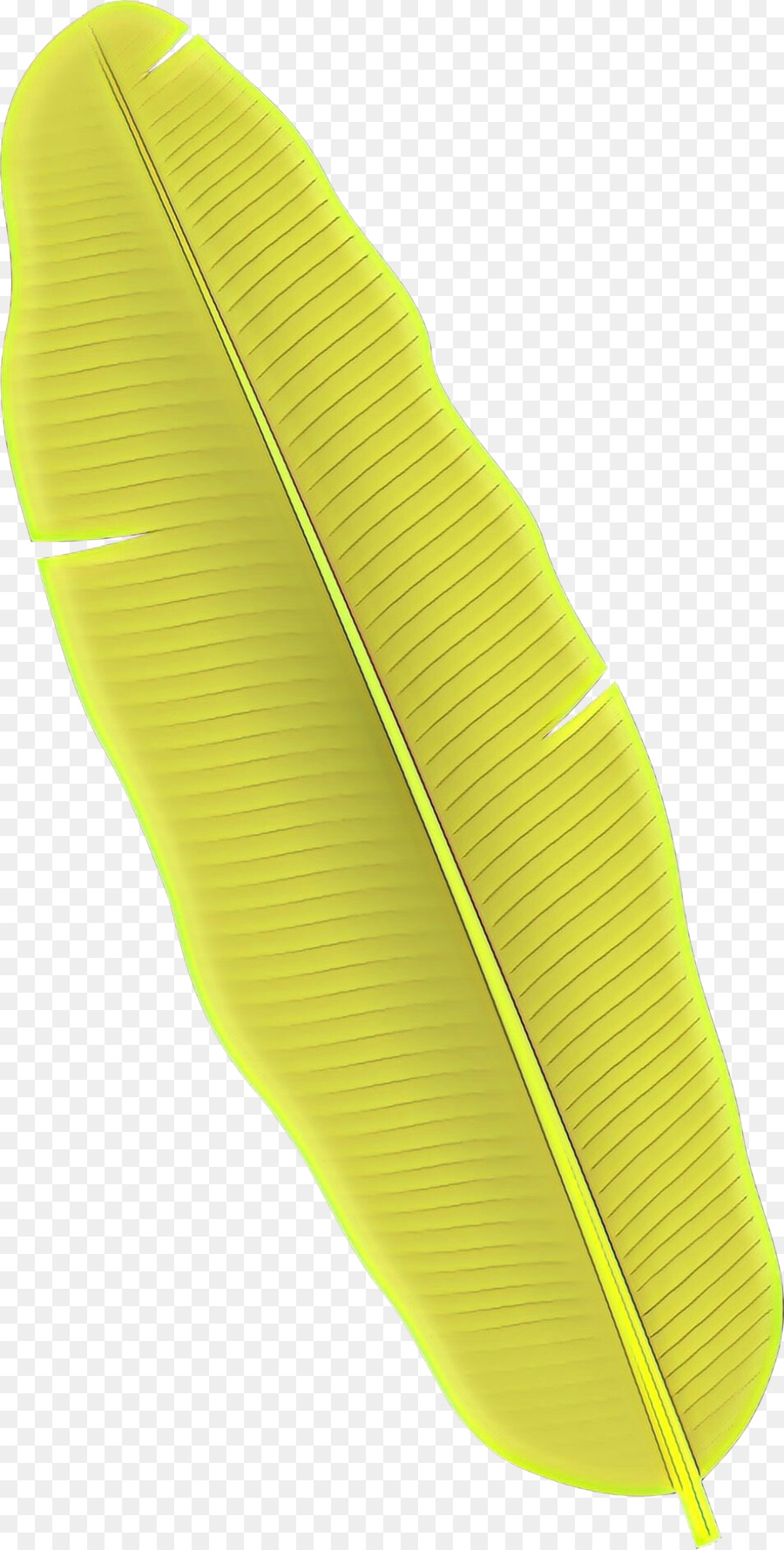 Amarillo，Verde PNG