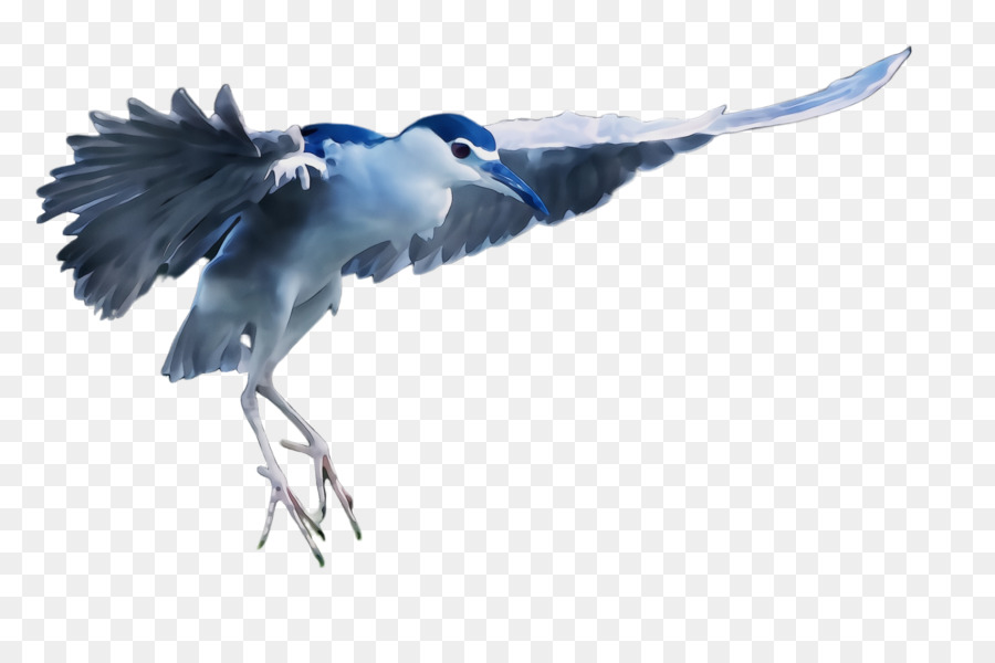 Pájaro，Gran Garza Azul PNG