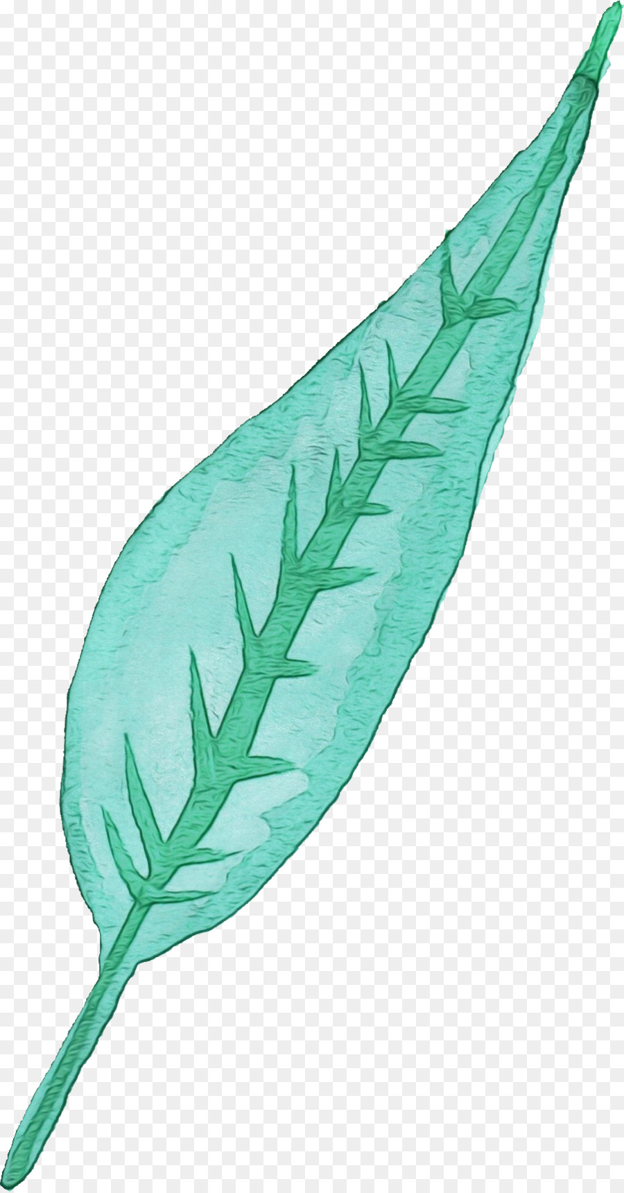 Hoja，Planta PNG