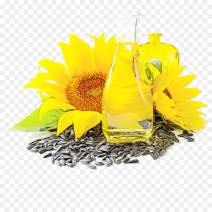 Girasol，Amarillo PNG