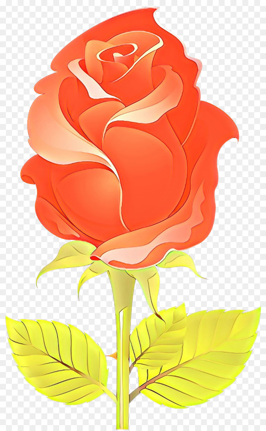 Rosa，Rosas De Jardín PNG