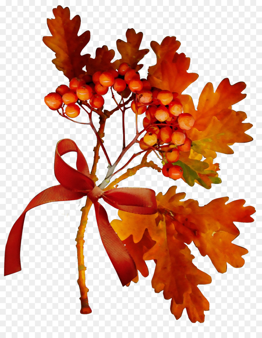 Hojas De Otoño，Caer PNG