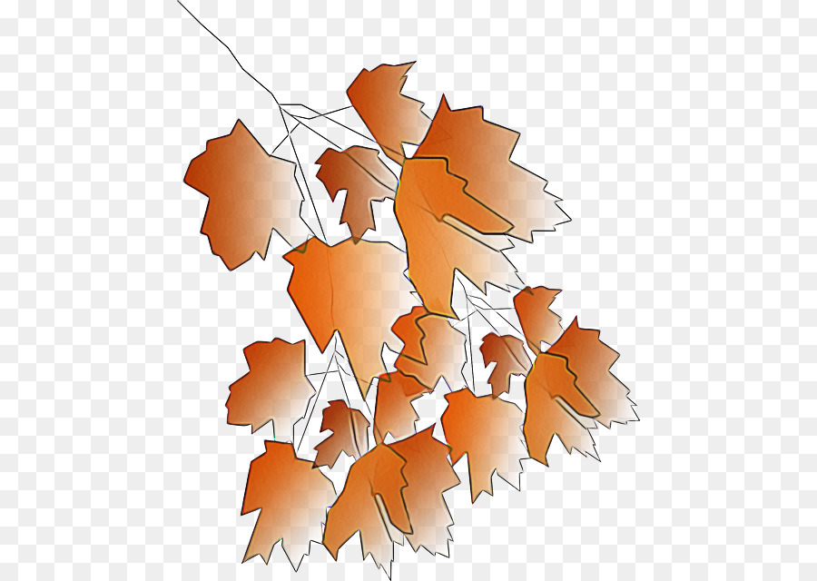 Hoja，árbol PNG