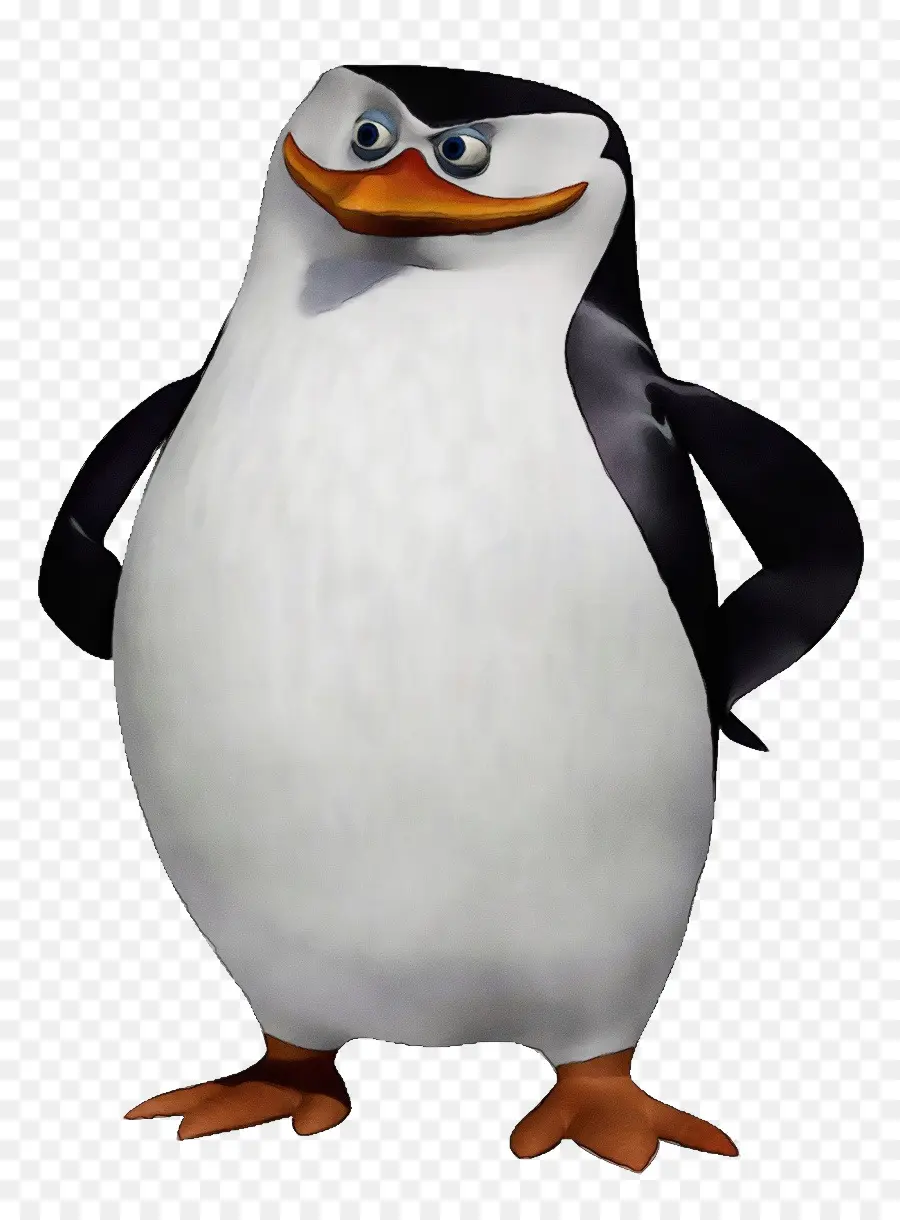 Pingüino，Gafas De Sol PNG