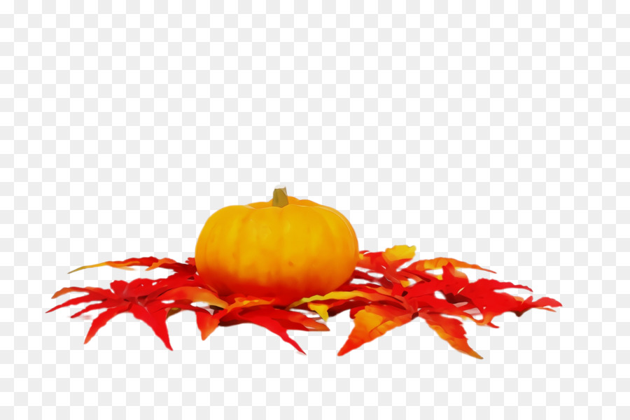 Naranja，Amarillo PNG