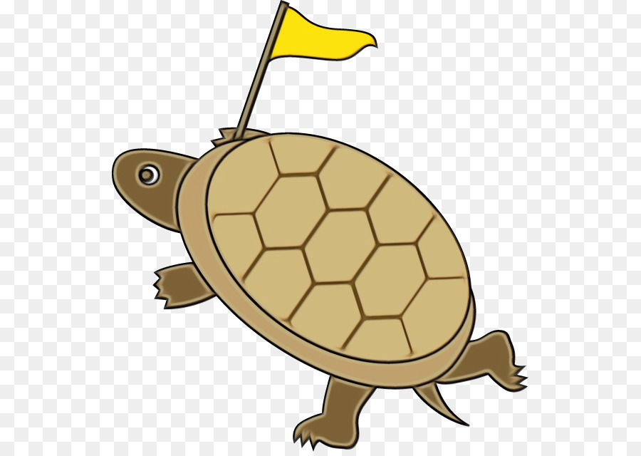 Tortuga，La Tortuga De Estanque PNG