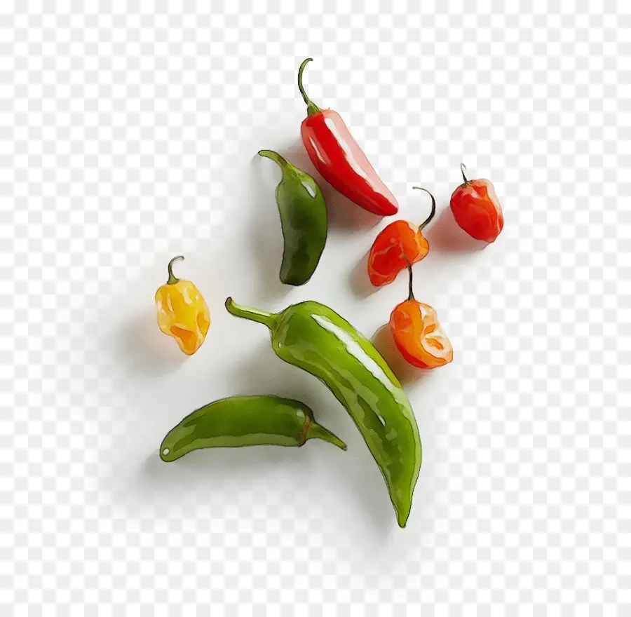 Pimientos Coloridos，Pimiento Amarillo PNG