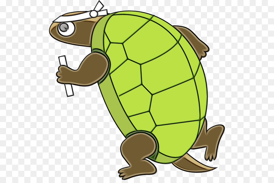 Tortuga Ninja，Ninja PNG