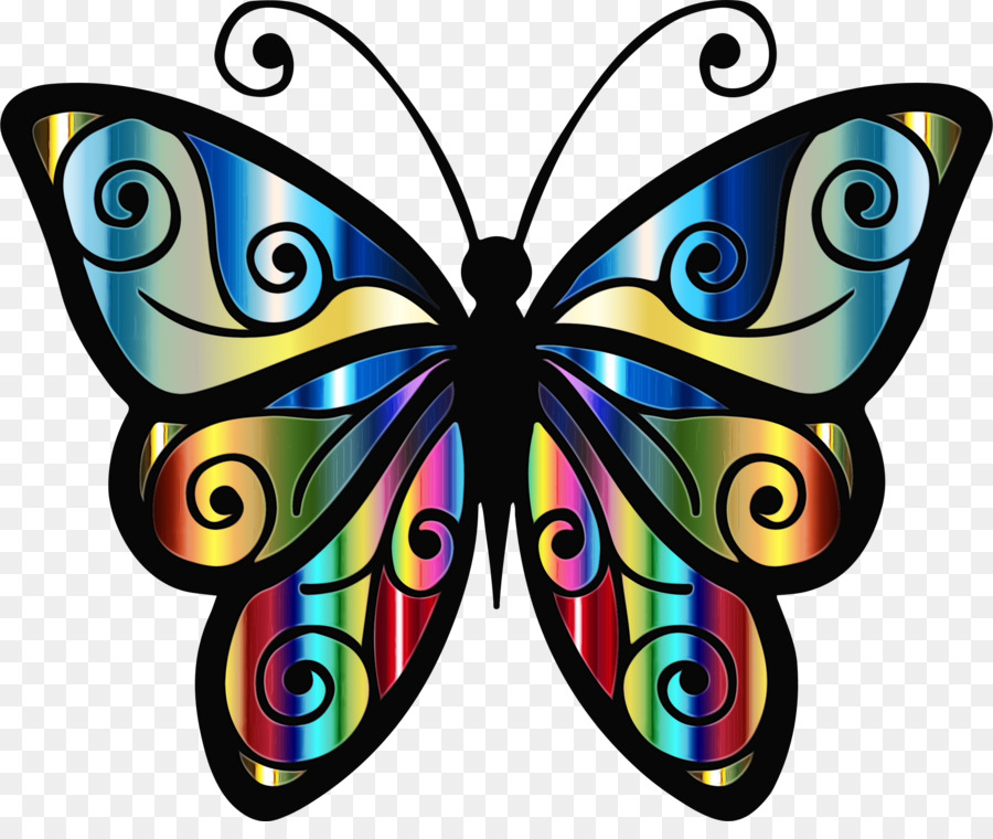 Mariposa，Cynthia Subgénero PNG