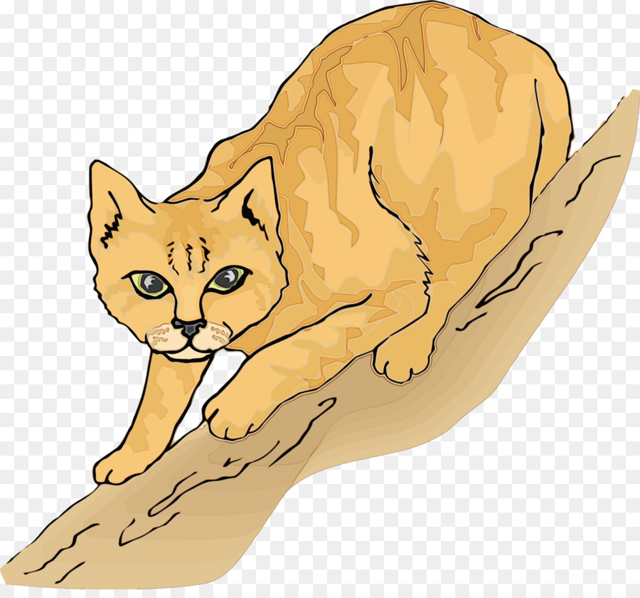 Gato，Fennec Fox PNG