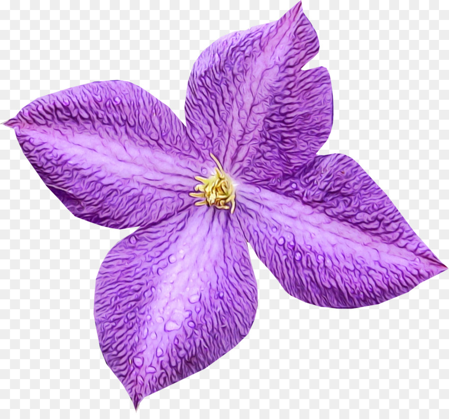 Flor Morada，Pétalos PNG