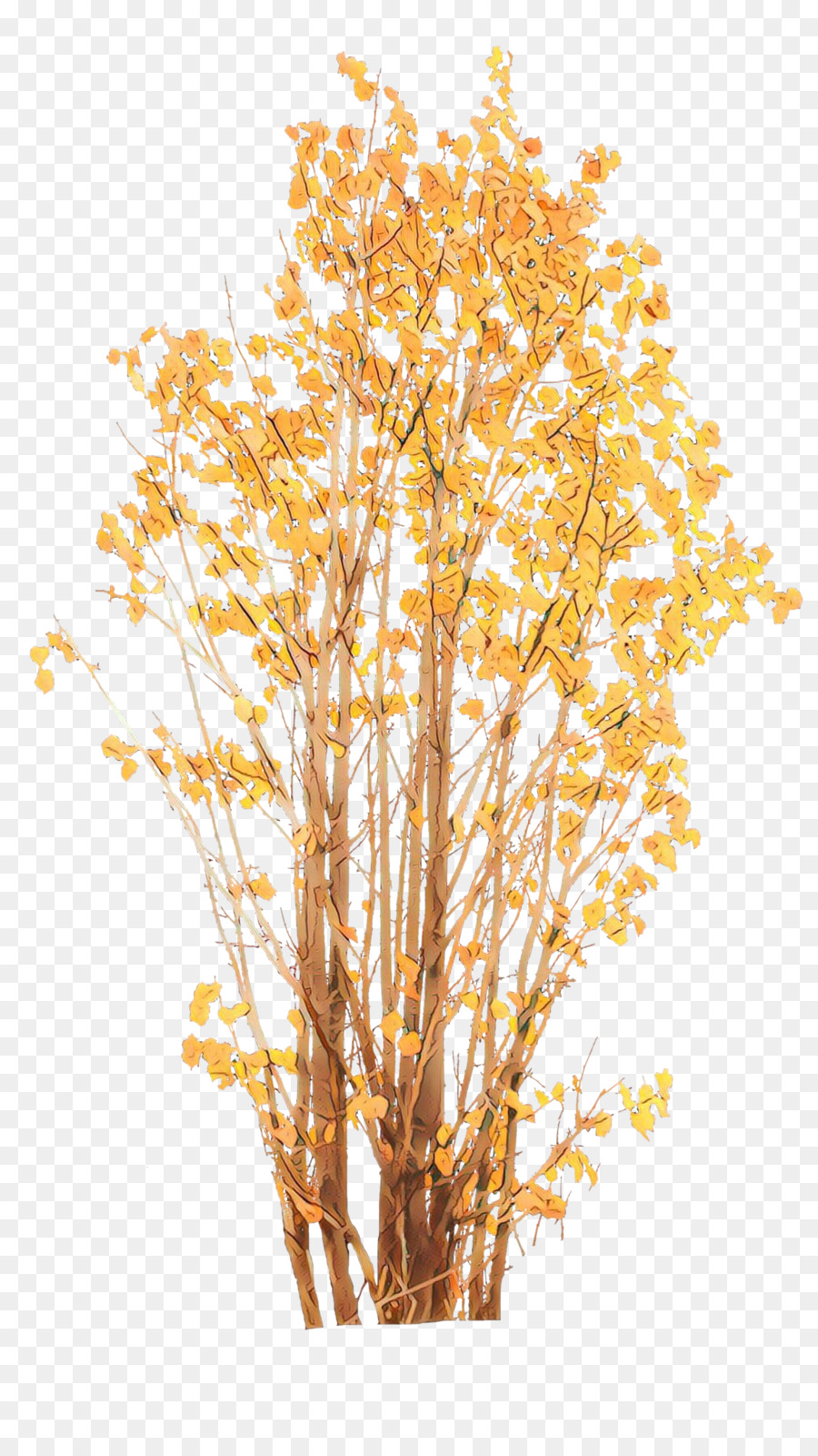 árbol Amarillo，árbol PNG