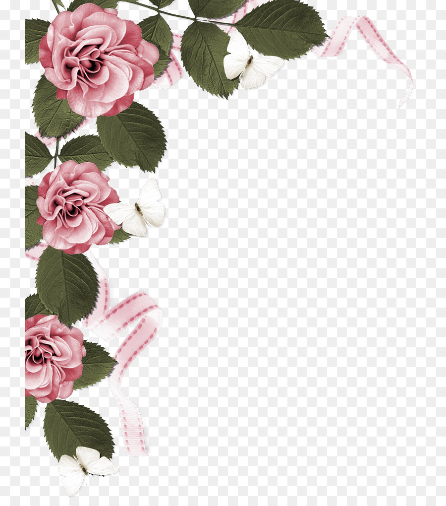 Rosa，Flor PNG