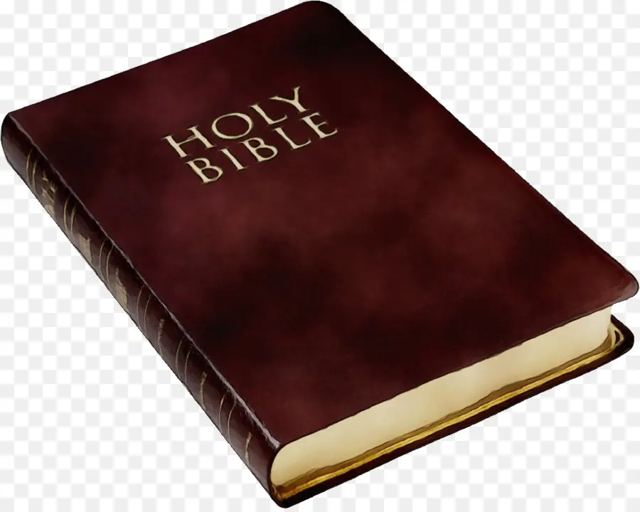 Santa Biblia，Sagrada Escritura PNG