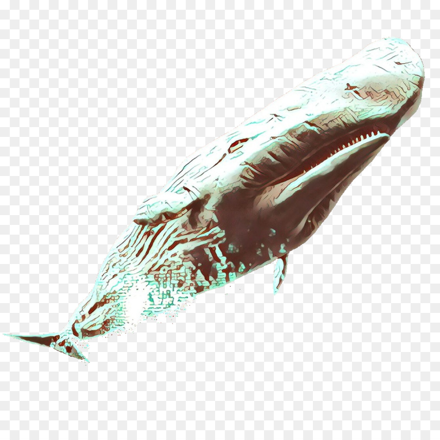 De Mamíferos Marinos，Ballena Jorobada PNG