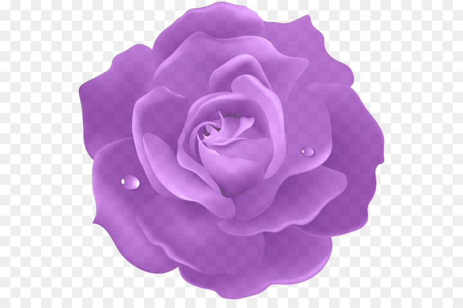 Violeta，Púrpura PNG