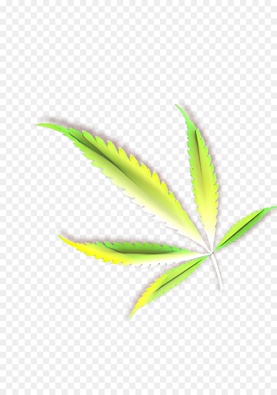 Hoja，Verde PNG